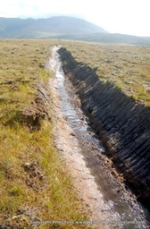 drainage of bogs