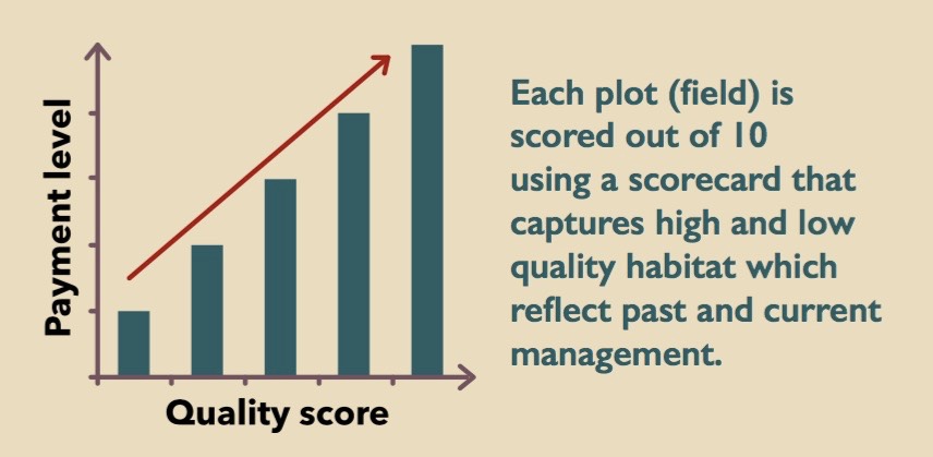 Payment level Payment Score Chart