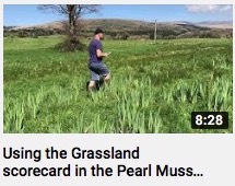 PMP Using the Grassland Scorecard
