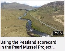 PMP Using the Peatland Scorecard
