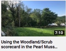 PMP Using the Woodland-Scrub Scorecard