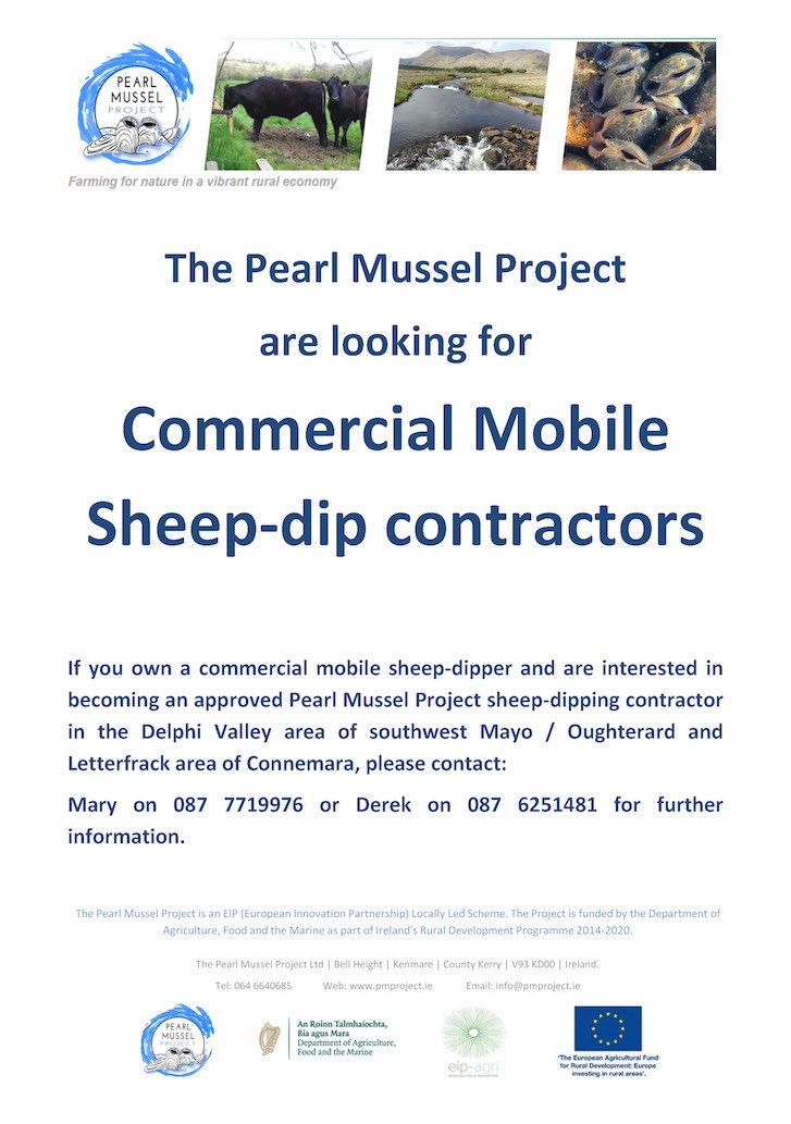 Sheep Dippers poster2